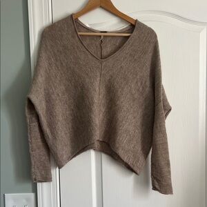 Free People V-Neck Sweater in Brown